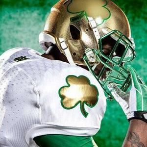 Meet your Posher, Joey